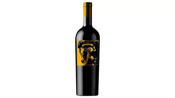 Caballo Loco Grand Cru Limarí